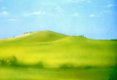 Painted canvas tarp. Landscape
