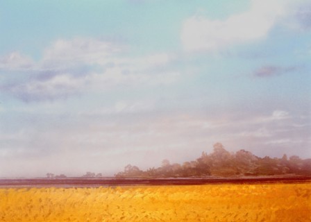 Painted canvas tarp. Landscape