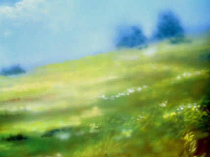 Painted canvas tarp. Landscape