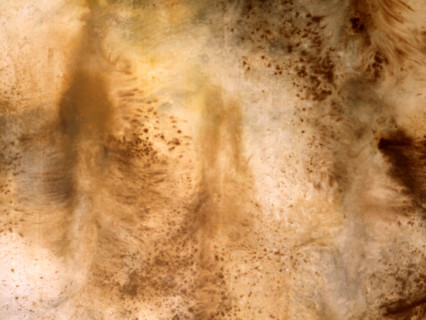 Matter effects. Painted canvas tarp