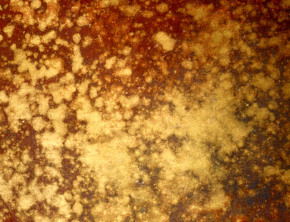 Matter effects. Painted canvas tarp