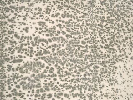 Matter effects. Painted canvas tarp