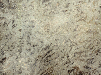 Matter effects. Painted canvas tarp