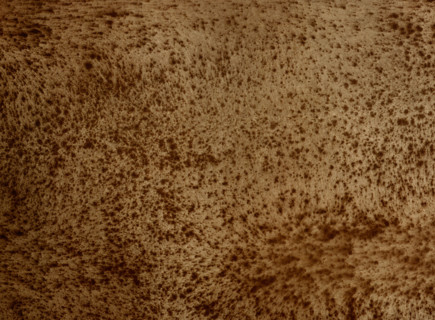 Matter effects. Painted canvas tarp
