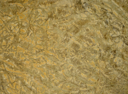 Matter effects. Painted canvas tarp