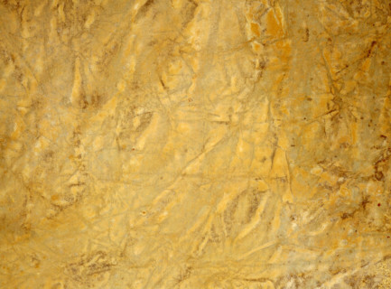Matter effects. Painted canvas tarp