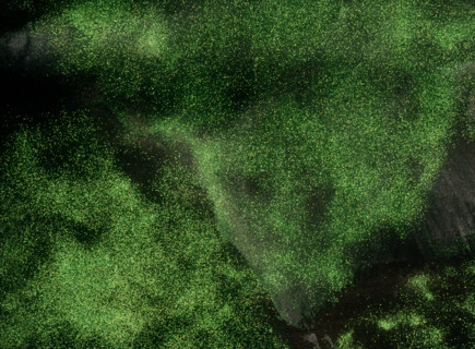 Matter effects. Painted canvas tarp