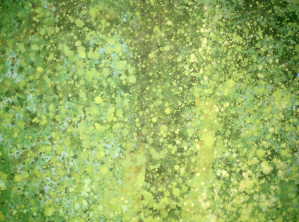 Matter effects. Painted canvas tarp