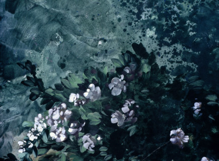 Painted backdrop with foliage and birds
