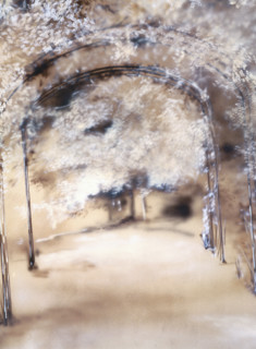 Painted backdrop. Park with foliages