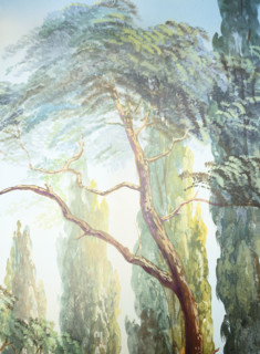 Painted backdrop. Detail of a rural landscape
