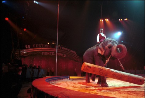 01/20/2000. 24th International circus festival of Monte-Carlo