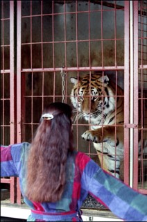 02/00/2001. Virginie Tessier the youngest wild beast tamer in the world.
