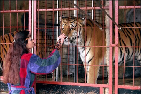 02/00/2001. Virginie Tessier the youngest wild beast tamer in the world.