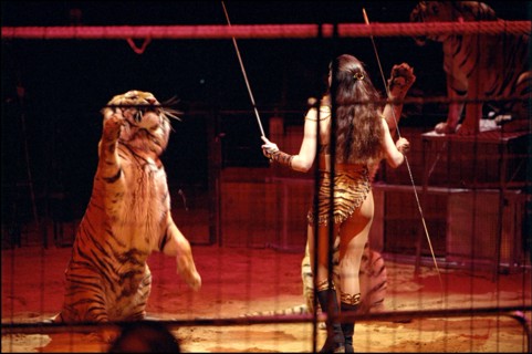 02/00/2001. Virginie Tessier the youngest wild beast tamer in the world.