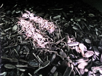 Auschwitz-Birkenau concentration camp