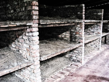 Auschwitz-Birkenau concentration camp