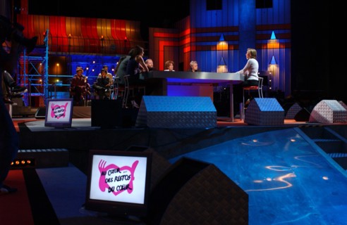 Les Restos du Coeur, Spectacle des Enfoirés 2004