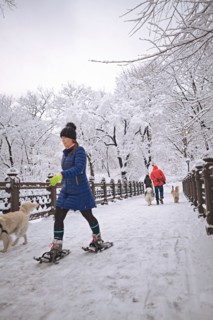 Central Park en hiver, New York