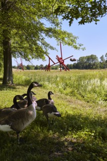 The Storm King Art Center