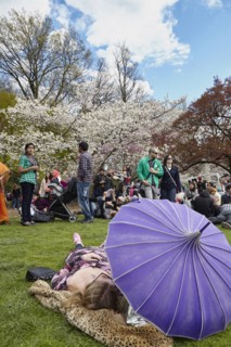 New York Botanical Garden