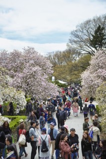 New York Botanical Garden