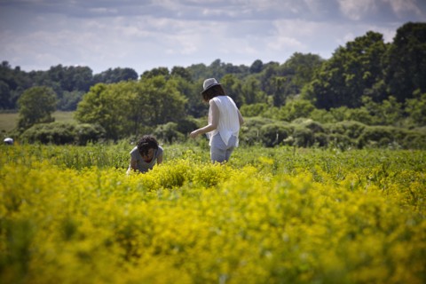 Reportage dans les montagnes Catskills