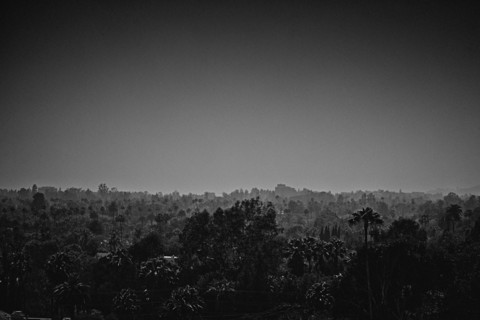 Reportage Los Angeles