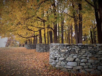 The Storm King Art Center