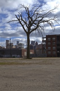 The city of Detroit