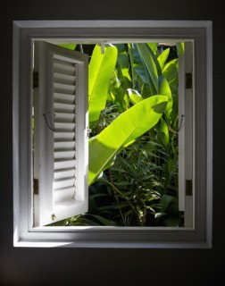 Reportage in Jamaica