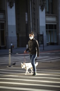 New York during the Covid-19 epidemic