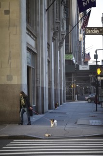 New York during the Covid-19 epidemic