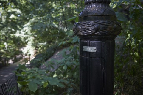 Reportage : le secret des lampadaires de Central Park