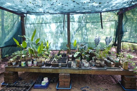 Reportage Auroville, en Inde