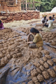 Reportage Auroville, en Inde