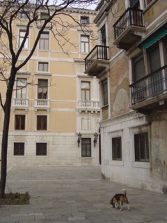 View of Palazzo Grassi in Venice