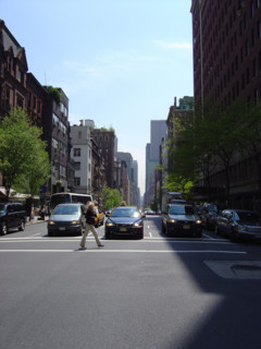 New-York (USA), Manhattan, Madison Avenue