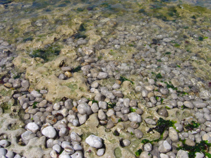 Plage d'Etretat