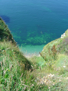 Falaises d'Etretat