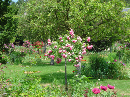Maison de Claude Monet à Giverny