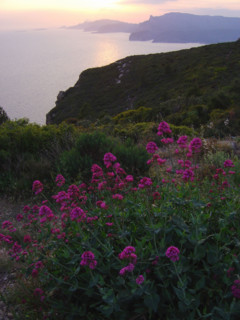 Baie de Cassis