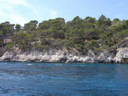Cassis