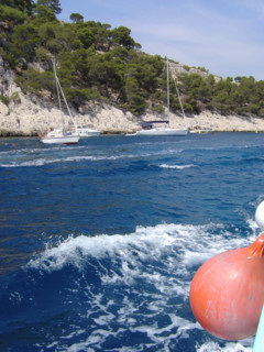 Cassis