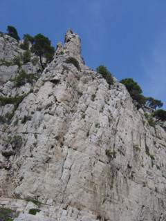Cassis
