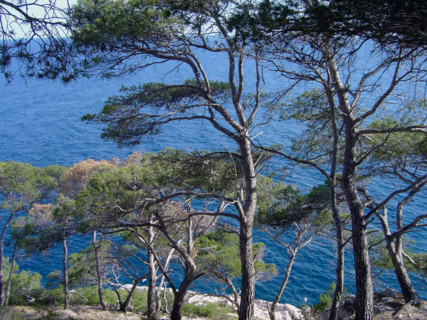 Provence
