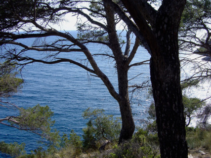 Provence