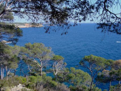 Provence