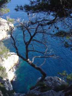 Provence