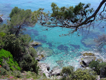 Provence